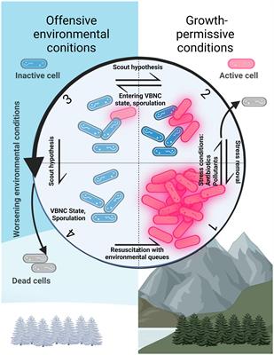 Reaching unreachables: Obstacles and successes of microbial cultivation and their reasons